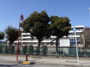 中居小学校