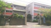 桃井小学校