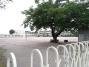 原小学校